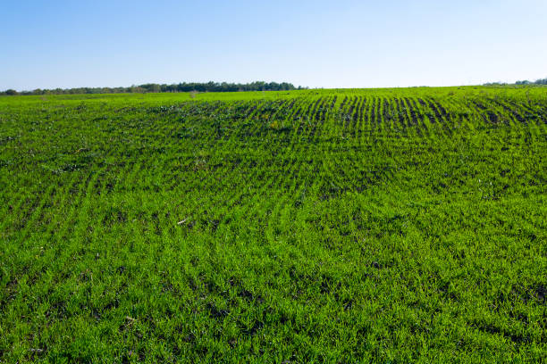 Morocco and China Forge Stronger Agricultural and Economic Ties