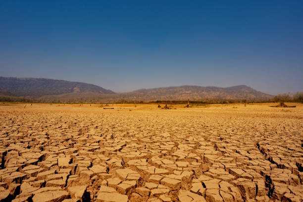 The Most Worrying Situation: Agriculture in Morocco Grapples with Drought