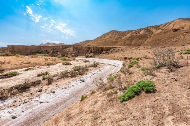   Morocco Struggles with Drought: Government Implements Measures Amidst Agricultural Risks