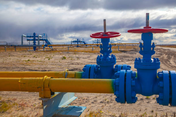 Morocco and Nigeria Establish Joint Investment Firm for Gas Pipeline Financing Coordination