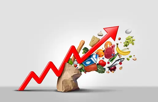 Inflation Trends and Economic Projections: Morocco's Path Forward