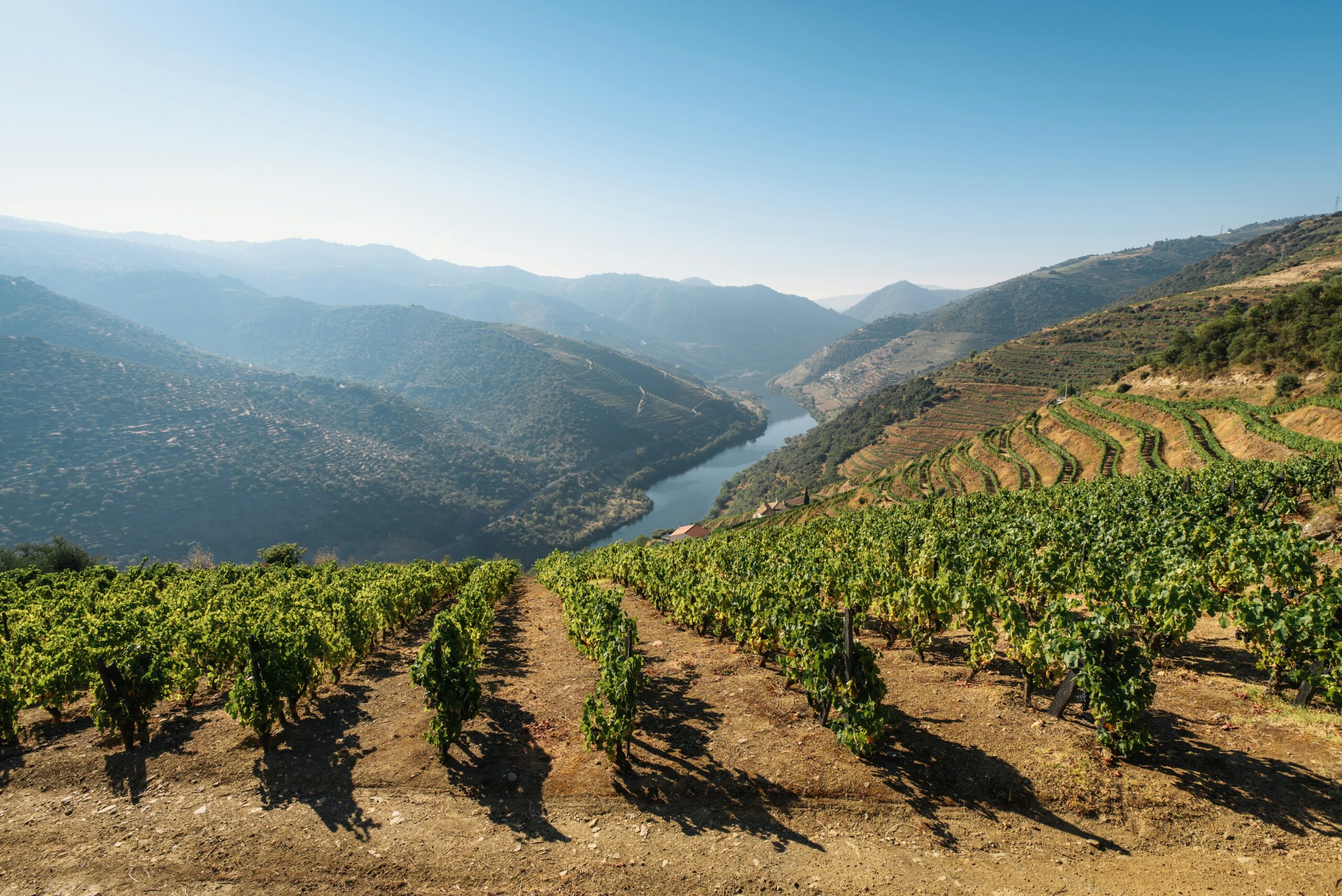 Morocco and France forge deeper ties in agriculture and forestry sectors