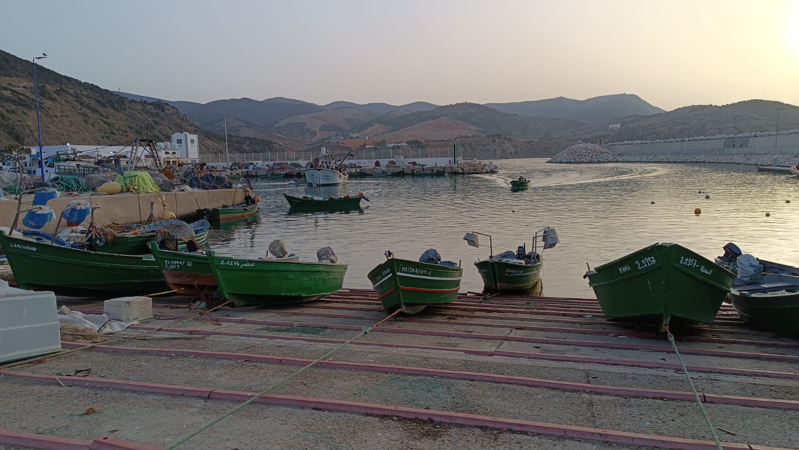 Market fluctuations: Insights from Laayoune and M'diq fishing ports