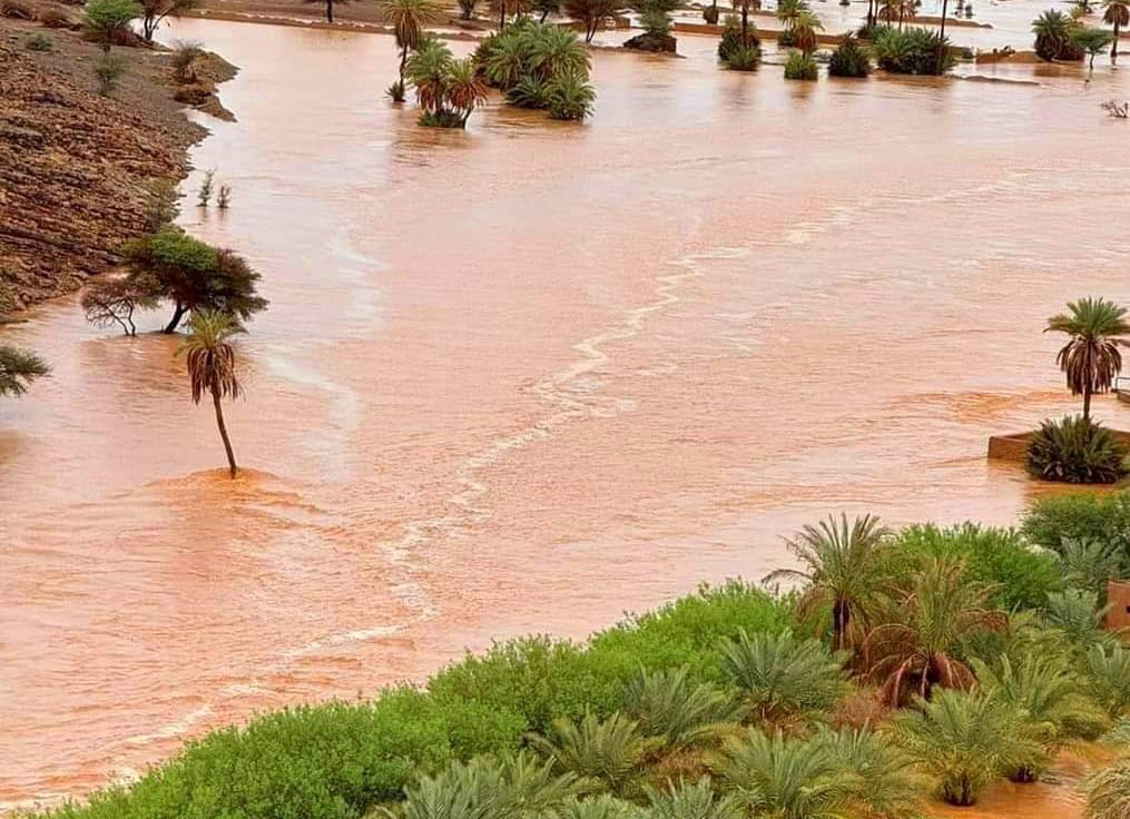 Tragic consequences of eastern Morocco floods: 18 dead and more than $4 million allocated for relief