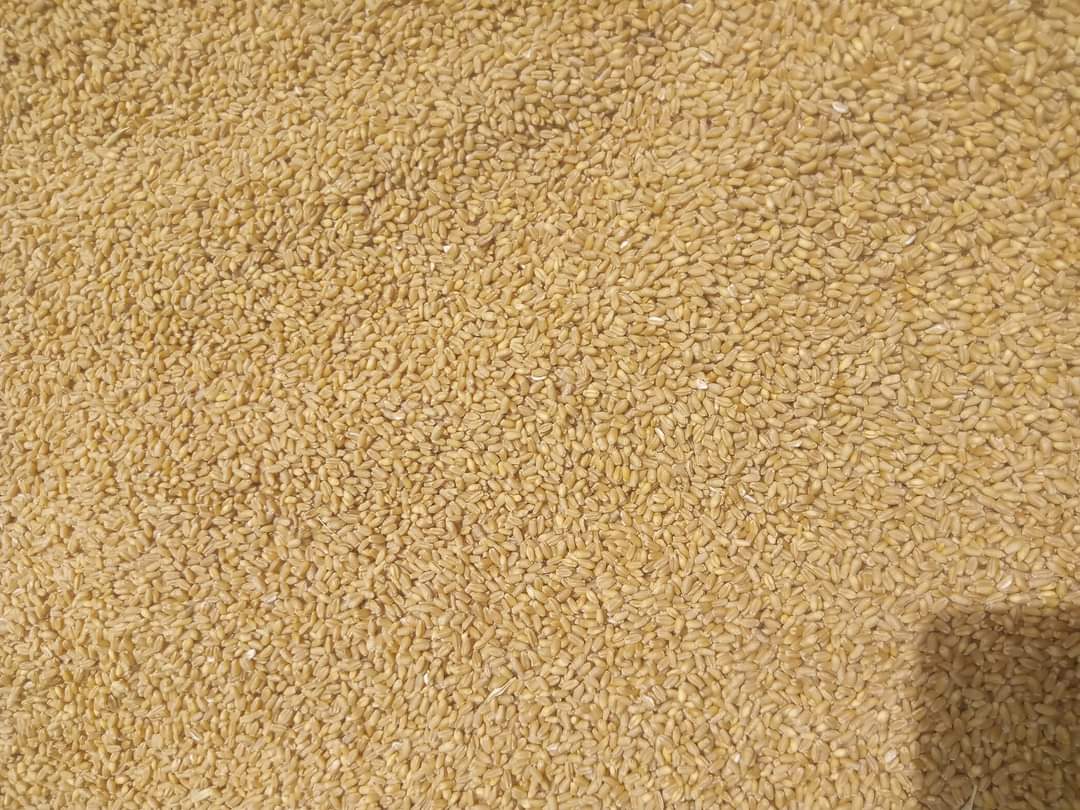 Morocco turns to Russia as primary wheat supplier amid declining French harvest