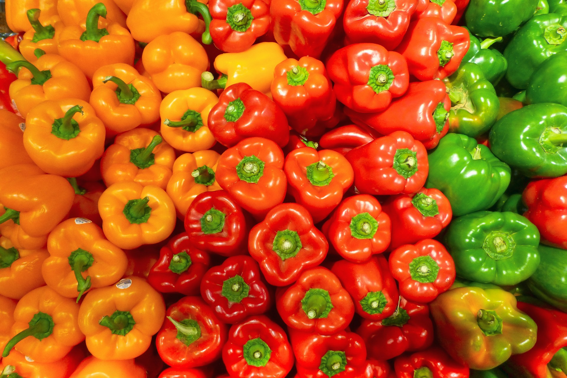 Moroccan sweet pepper exports soar to new heights