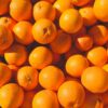 Morocco expands citrus exports to Japan after success in Europe, Africa, and America