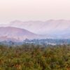 Morocco charts bold course to triple date production by 2030