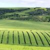 Morocco boosts agriculture and industry, but trade deficit continues to grow