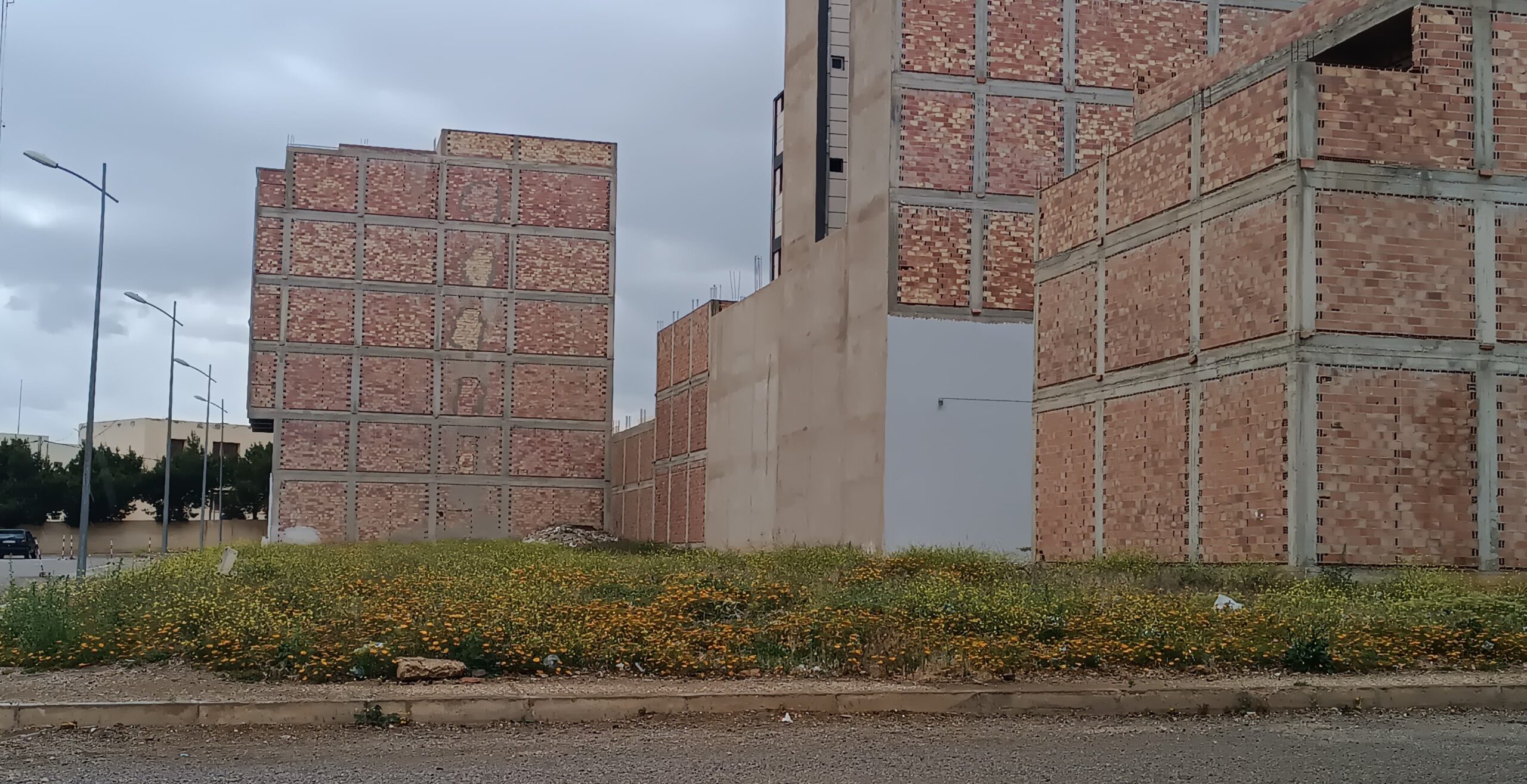 Morocco overhauls local tax system: New law raises rates on undeveloped urban land and centralizes management