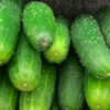 Morocco reports strong recovery and record levels in potato, cucumber, and carrot exports