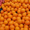 Moroccan fruits take the lead in Russian market: Innovation, quality, and export growth