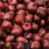 Morocco’s onion exports hit historic high, quintupling in just one season