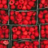 Morocco achieves record raspberry exports in 2024/2025, generating $487 million