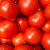 Morocco strengthens its dominance in European tomato and produce markets