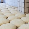 Morocco launches $49.5 million biotechnology plant in Jorf Lasfar to strengthen food security
