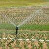Morocco strengthens agricultural resilience amid water challenges and climate change