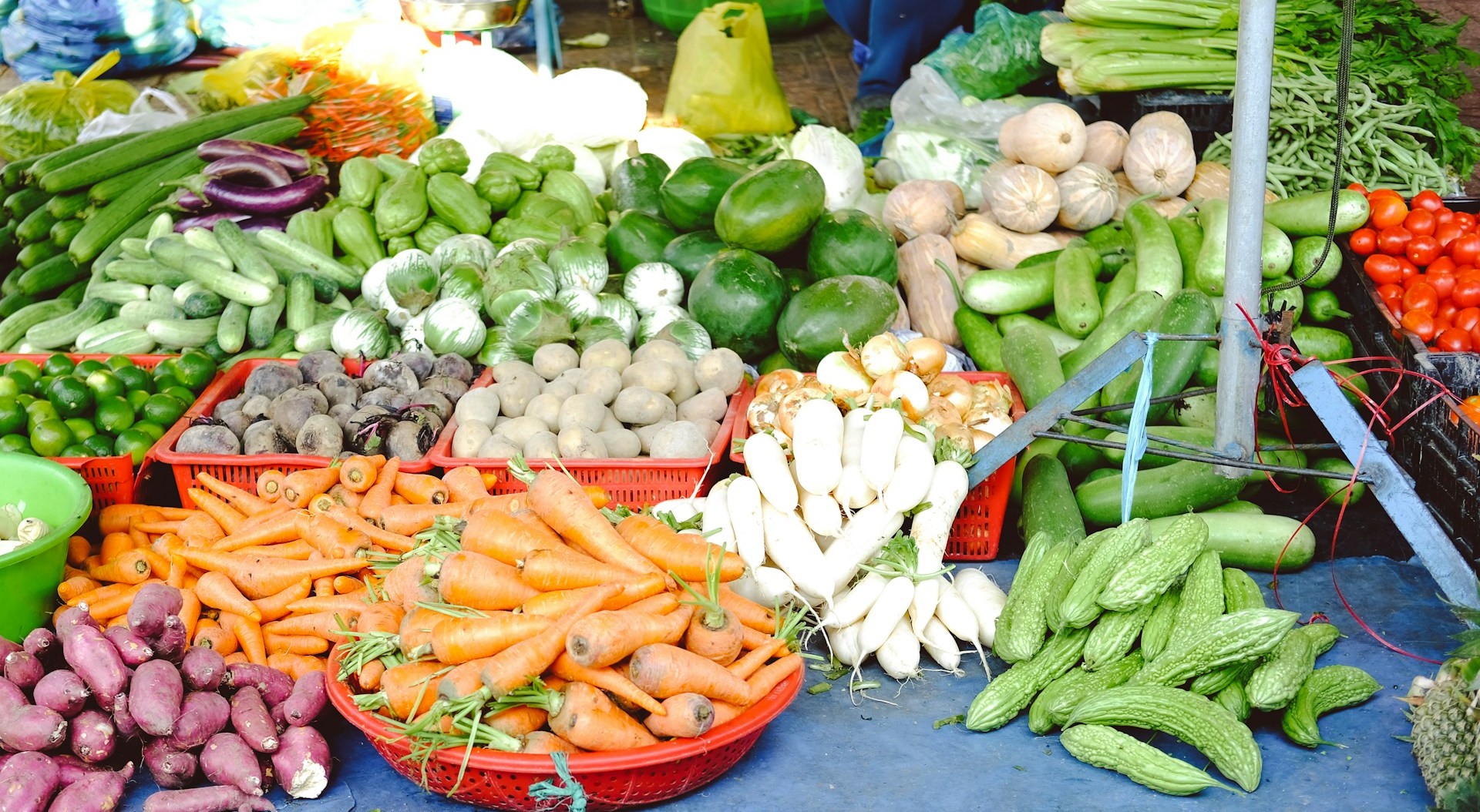 Morocco’s agri-food industry shows resilience in 2024 as investment and modernization offset drought pressures