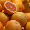 Morocco becomes a rising force in Canada’s grapefruit market as exports hit record levels