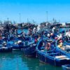 Mediterranean fishing landings in Morocco decline sharply in January amid lower volumes and revenues