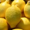 Morocco lemon exports rebound strongly, reaching highest level in five seasons