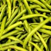 Morocco emerges as leading green bean supplier to Ireland, signaling growth in European agricultural trade