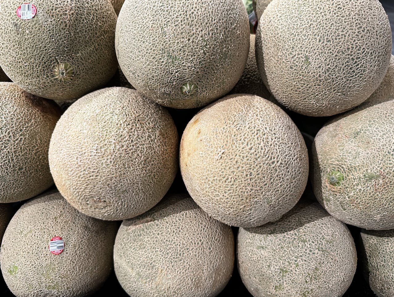 Moroccan melon exports close season on strong European demand despite lower output