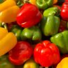 Morocco strengthens position in UK sweet pepper market with record export growth in 2025