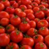 Morocco limits tomato exports to contain domestic price surge