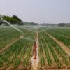 African Development Bank backs Morocco’s shift toward resilient and technology-driven agriculture