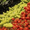 Morocco’s agri-food exports rise 38% in five years to record $8.9 billion
