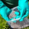 Moroccan phosphate fertilizers return to the U.S. market as trade restrictions are temporarily eased