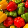 Morocco’s sweet pepper exports to UK gain ground as shipments surge 