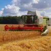 Morocco restarts soft wheat import support as domestic stocks fall short 