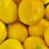 Morocco’s lemon exports to Spain surge as production shortages reshape citrus trade